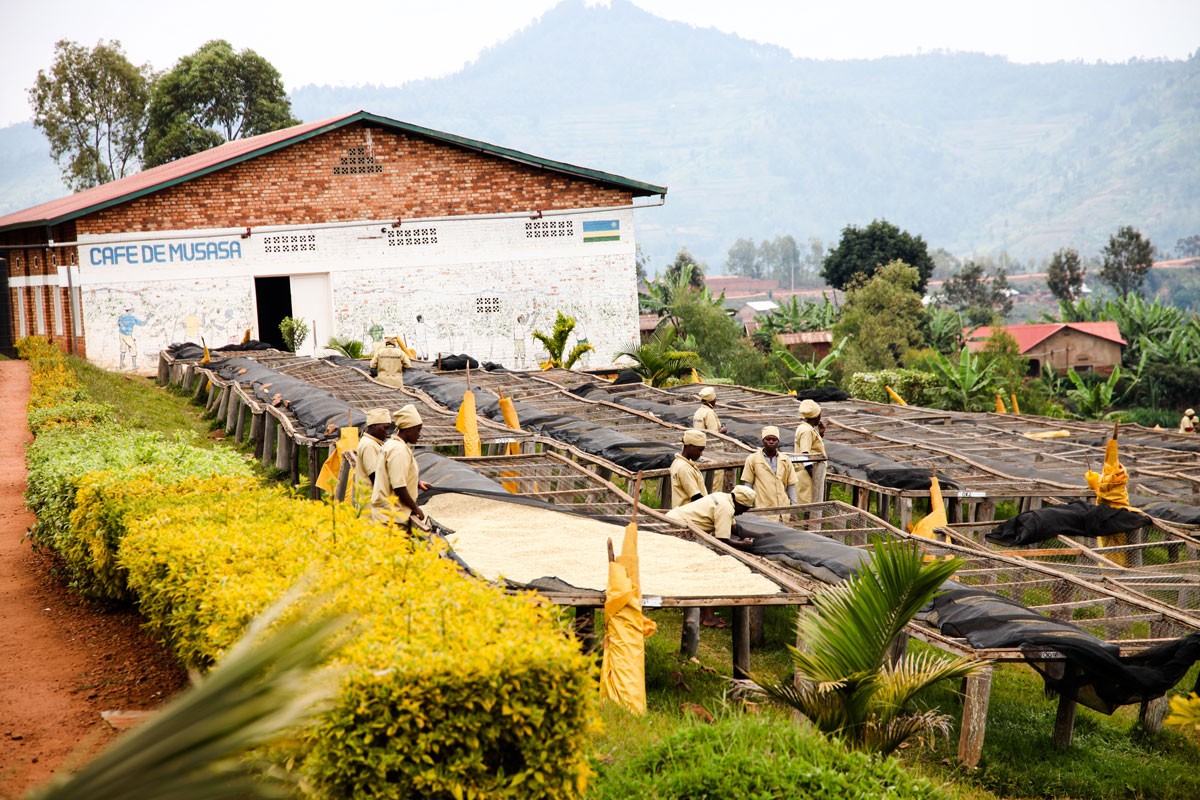 Ruanda Musasa Regional (Ruanda)
