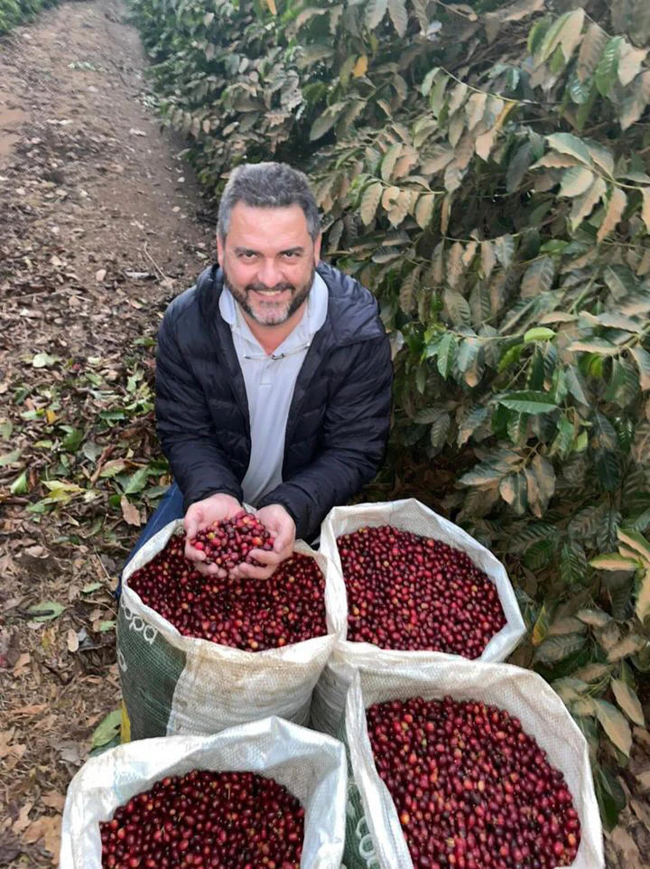 Milan Culturing 88 (Colombia)