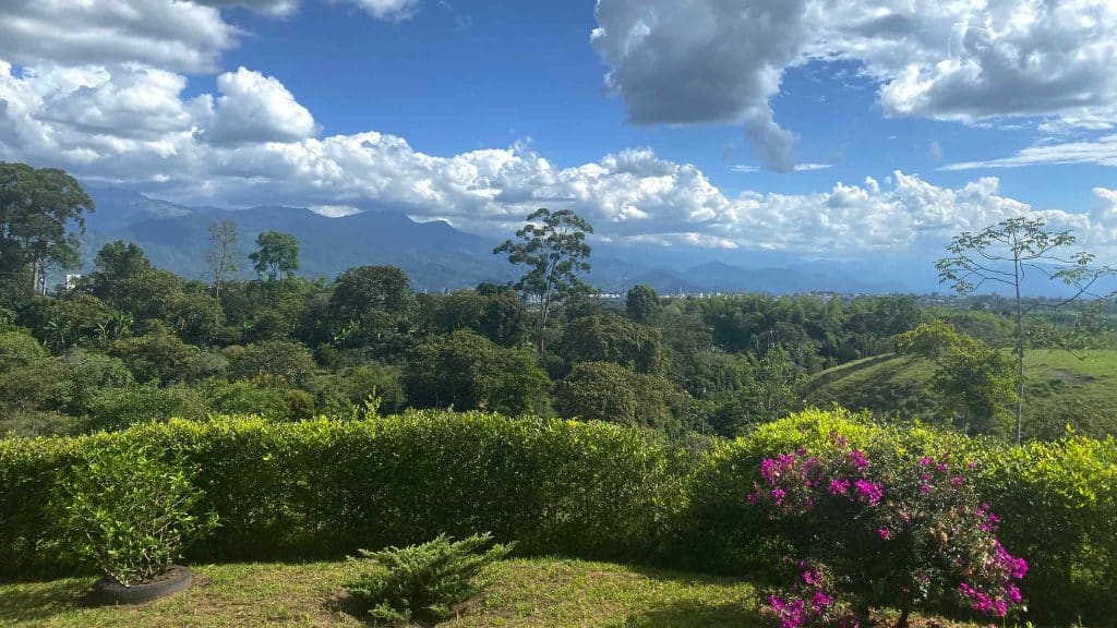Noreña Peach 88 (Colombia)