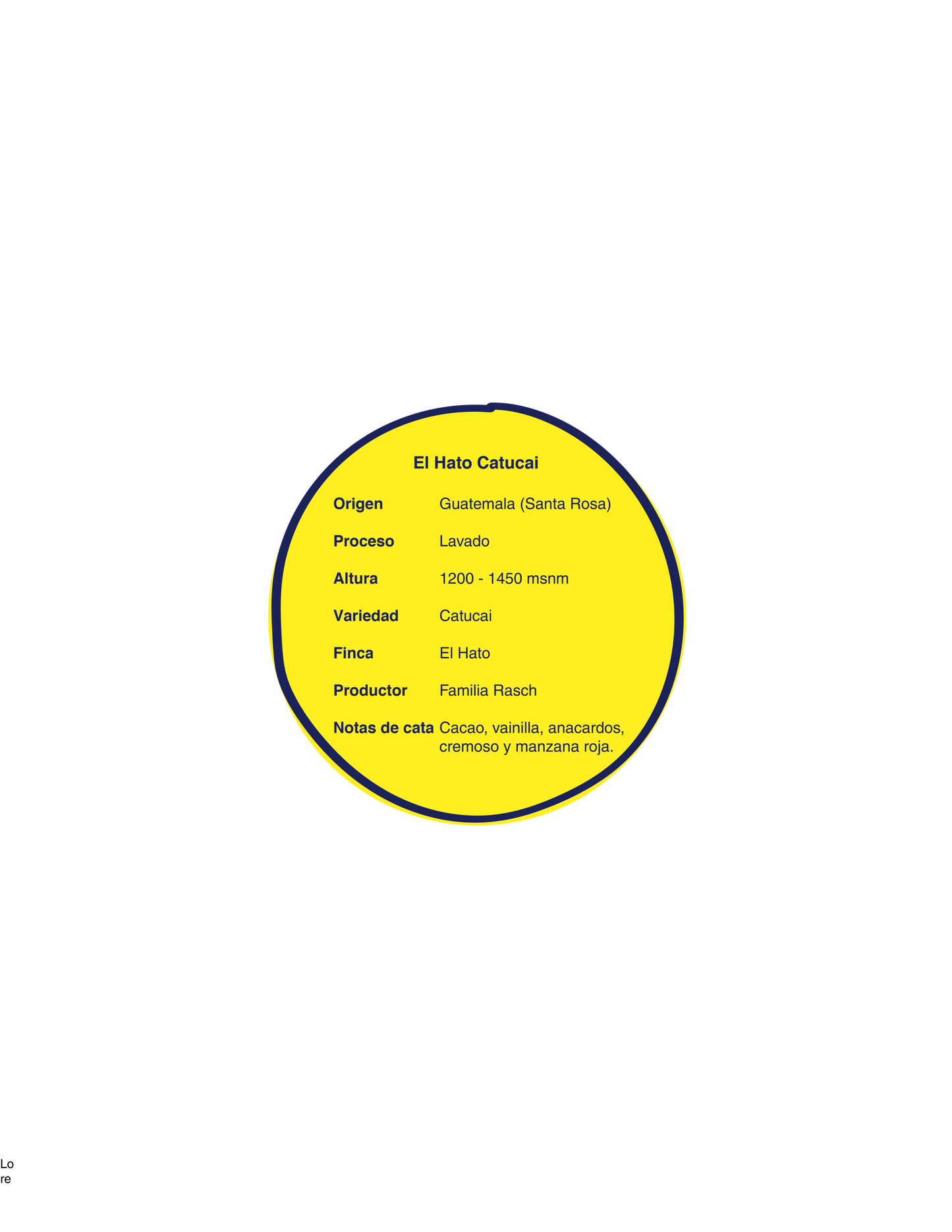 Pack 4 paquetes 250 gramos + envío gratis