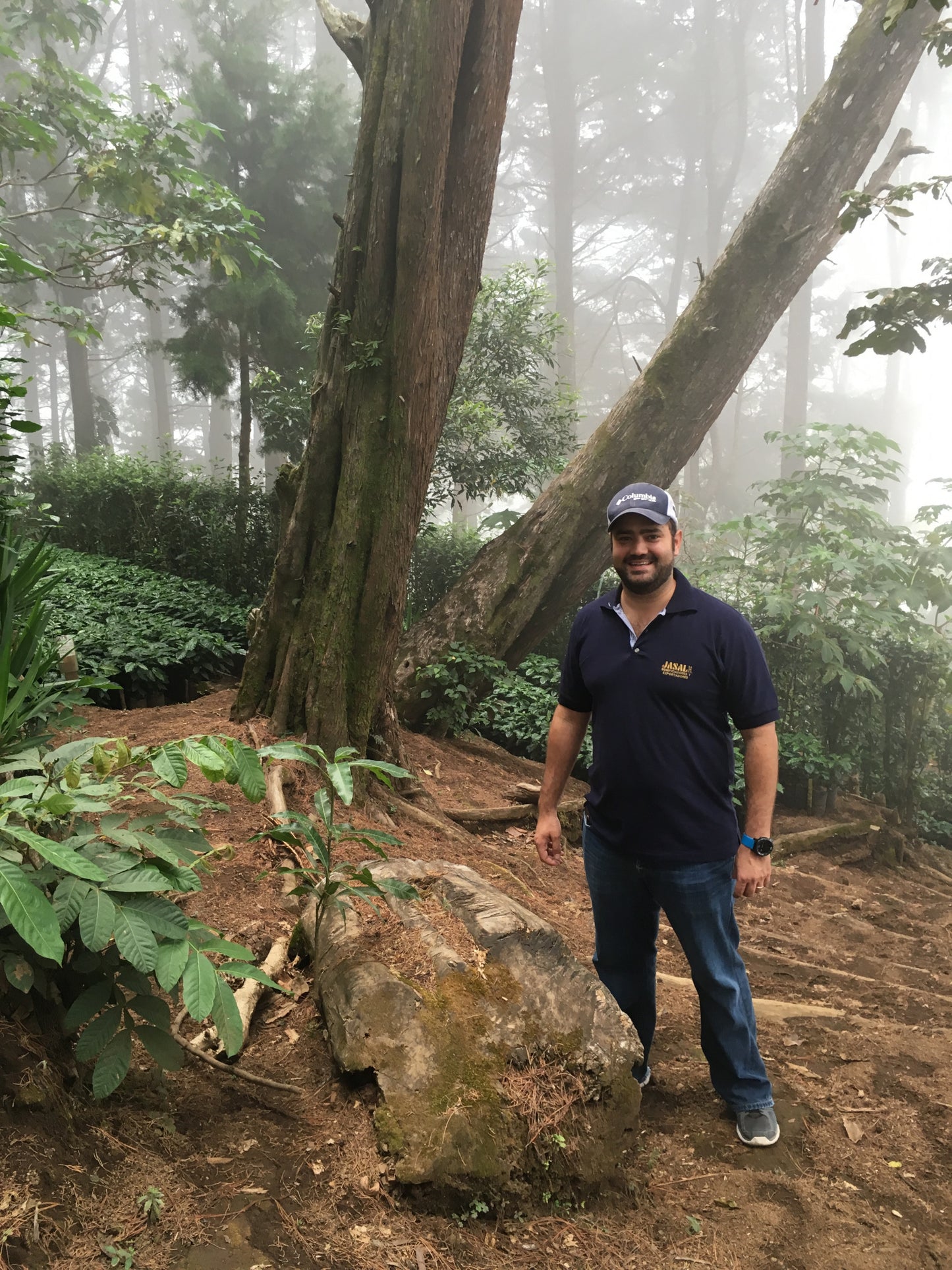 San Francisco bourbon 88 (El Salvador)