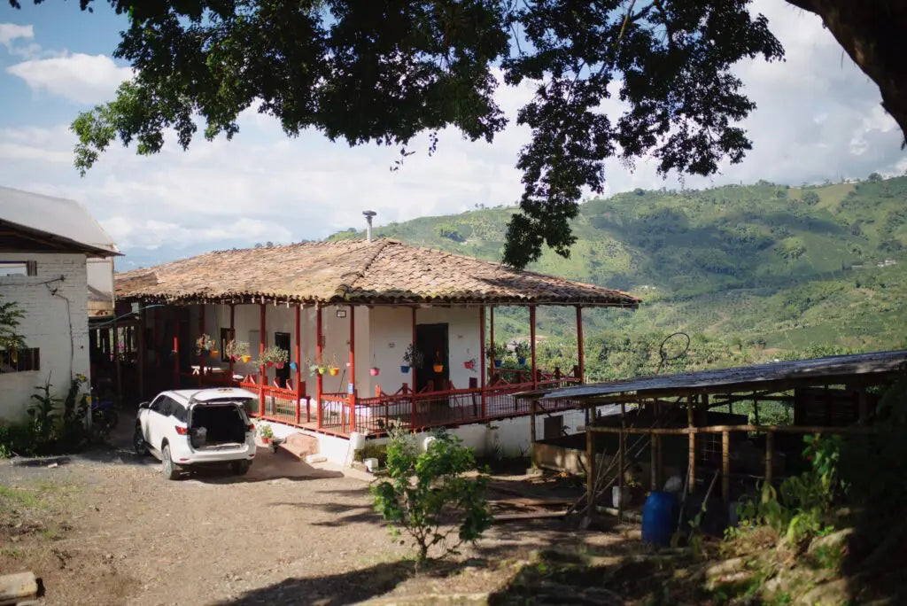 Milan Culturing 88 (Colombia)