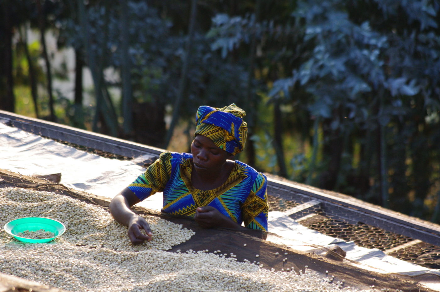 Ruanda Musasa Regional (Ruanda)
