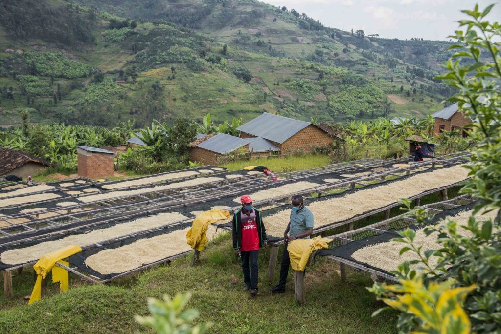 Ruanda Musasa Regional (Ruanda)