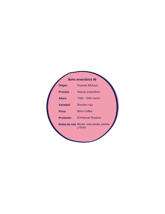 Baho anaeróbico 88 (Ruanda)