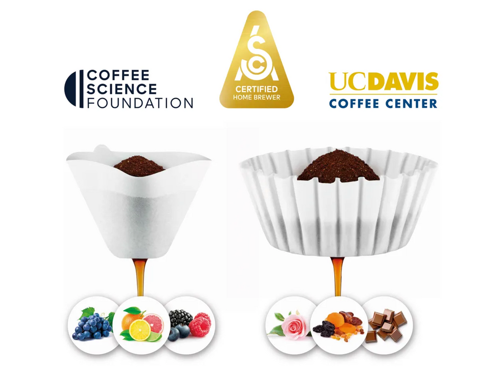 CAFETERA GOTEO PRECISION BREWER THERMAL