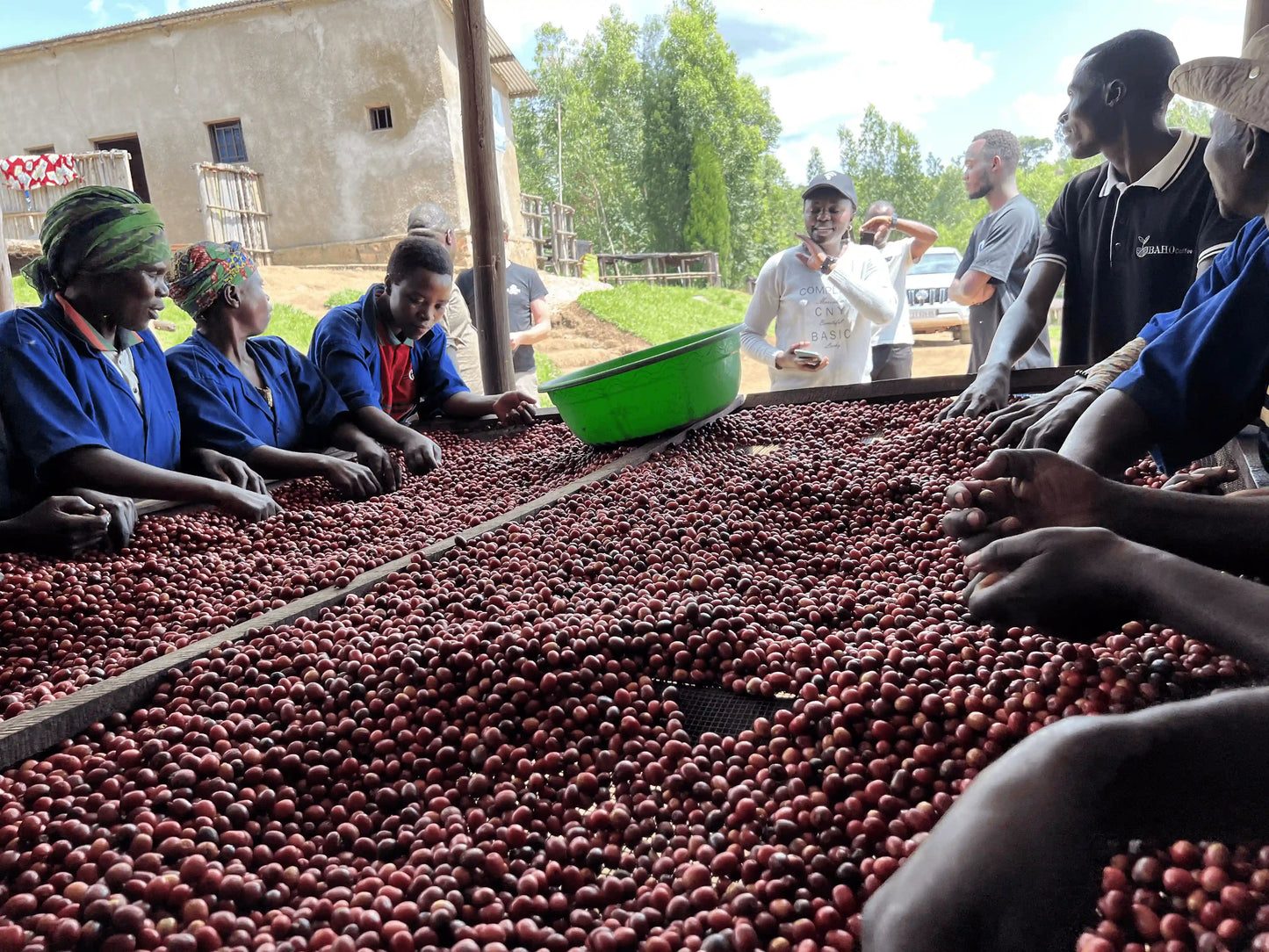 Baho Coffee regional (Ruanda)
