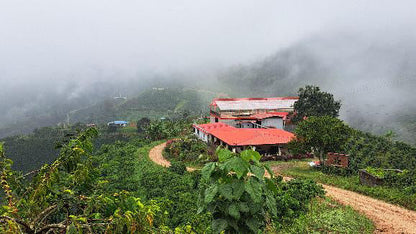 Tabi Vergara brothers (Colombia)