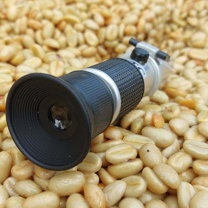 Pacpa Pacamara (Perú)