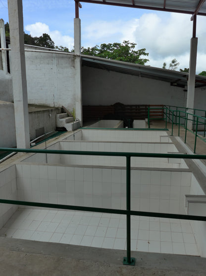 El Hato Catucai (Guatemala)