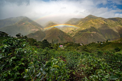 Ricardina Chávez (Colombia)