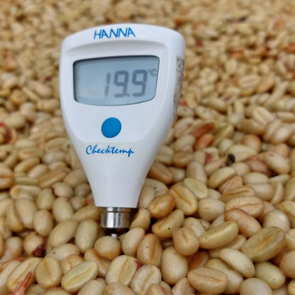 Pacpa Pacamara (Perú)