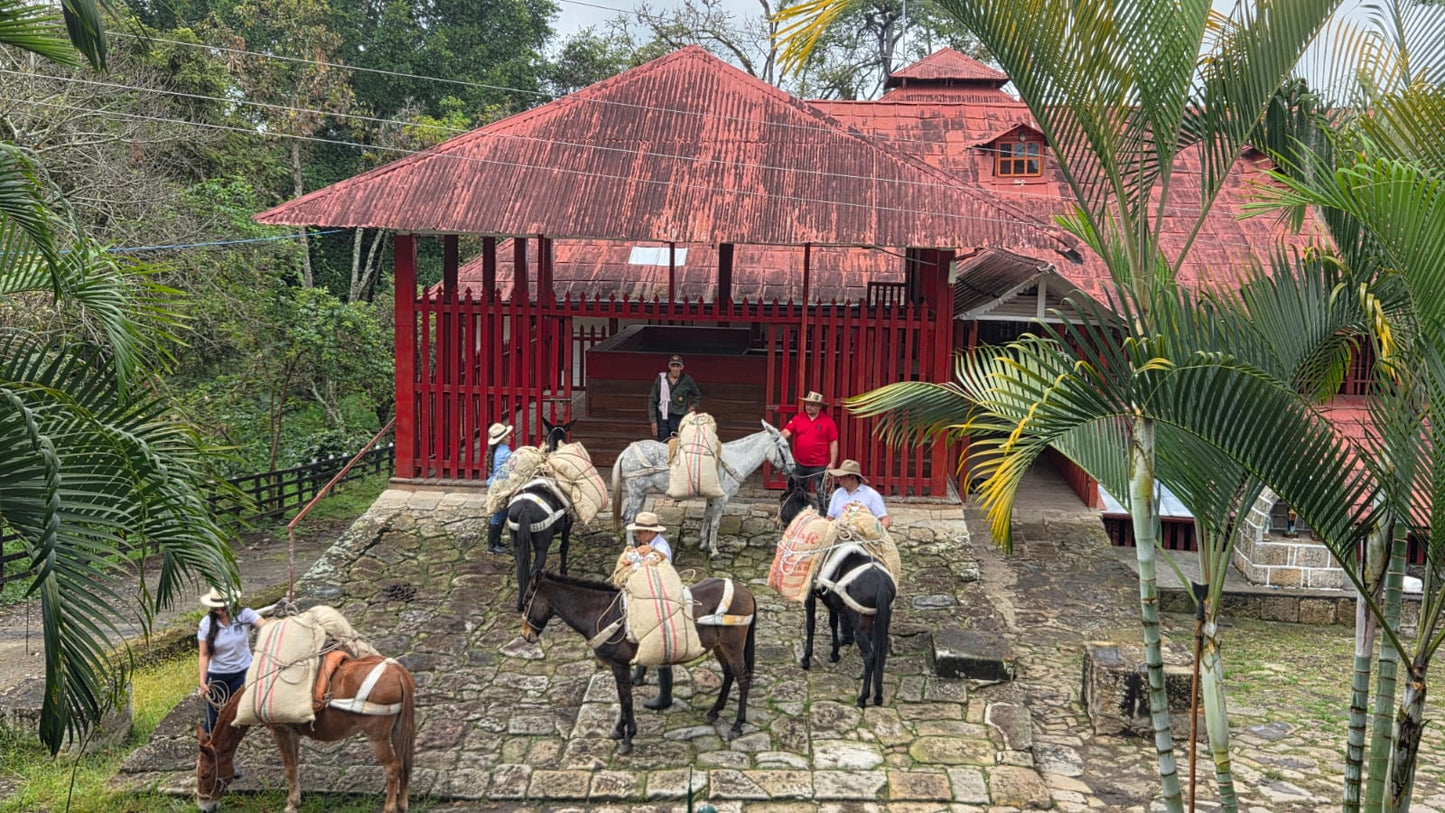 Hacienda Misiones 88 (Colombia)