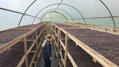Hacienda Misiones 88 (Colombia)