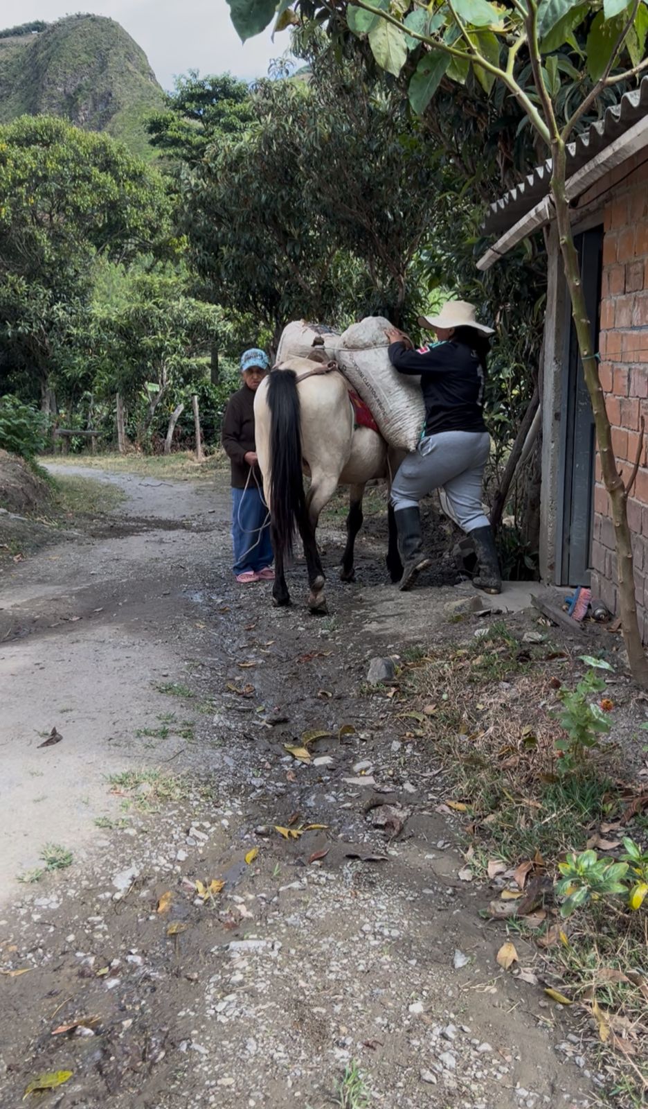 Ricardina Chávez (Colombia)
