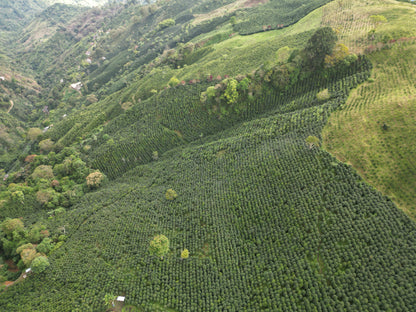 Hacienda Misiones 88 (Colombia)