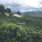 Pack de 2 Kilos de DESCAFEINADO (Colombia)