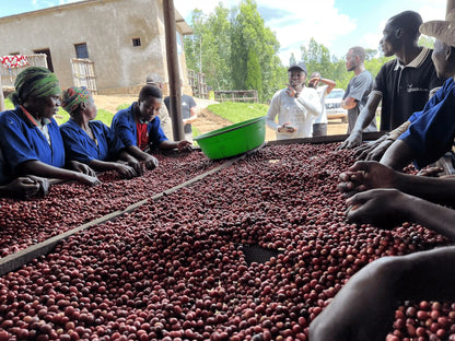 Baho Coffee regional (Ruanda)